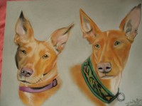 /album/galerie-photos/photo-1160-jpg/